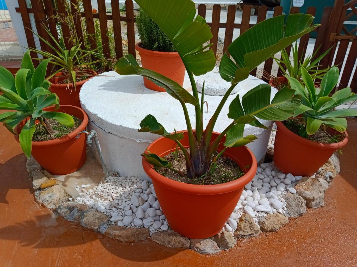 Delfines Holiday home Chiclana de la Frontera